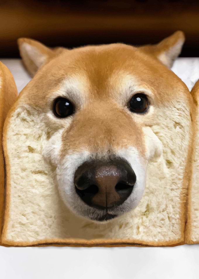 Melted Shiba dog in bread