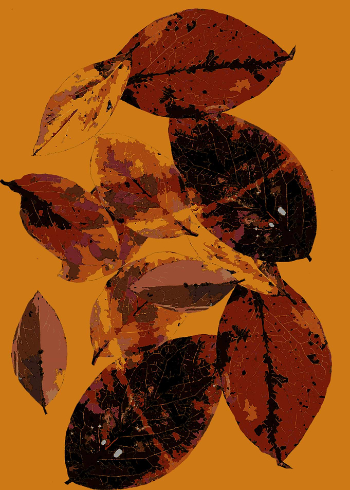 leaves