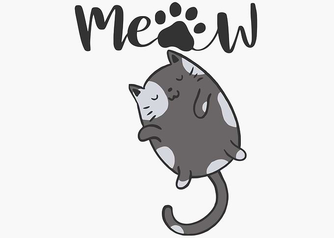 Meow Cute cat sleeping