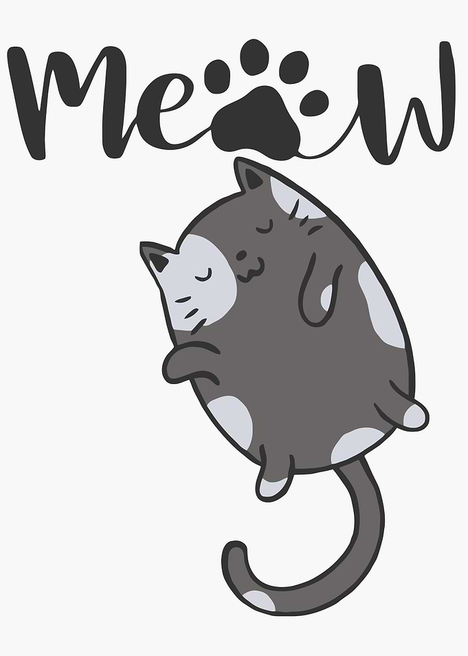Meow Cute cat sleeping