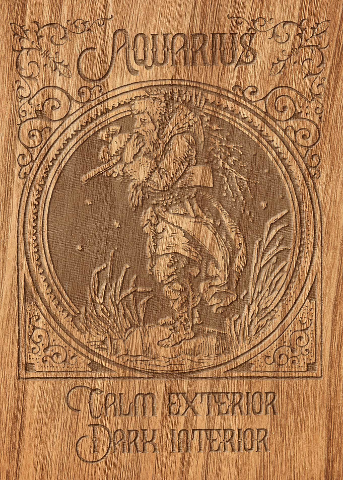 Zodiac Aquarius