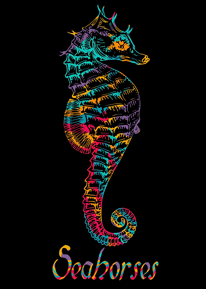 colorful seahorses