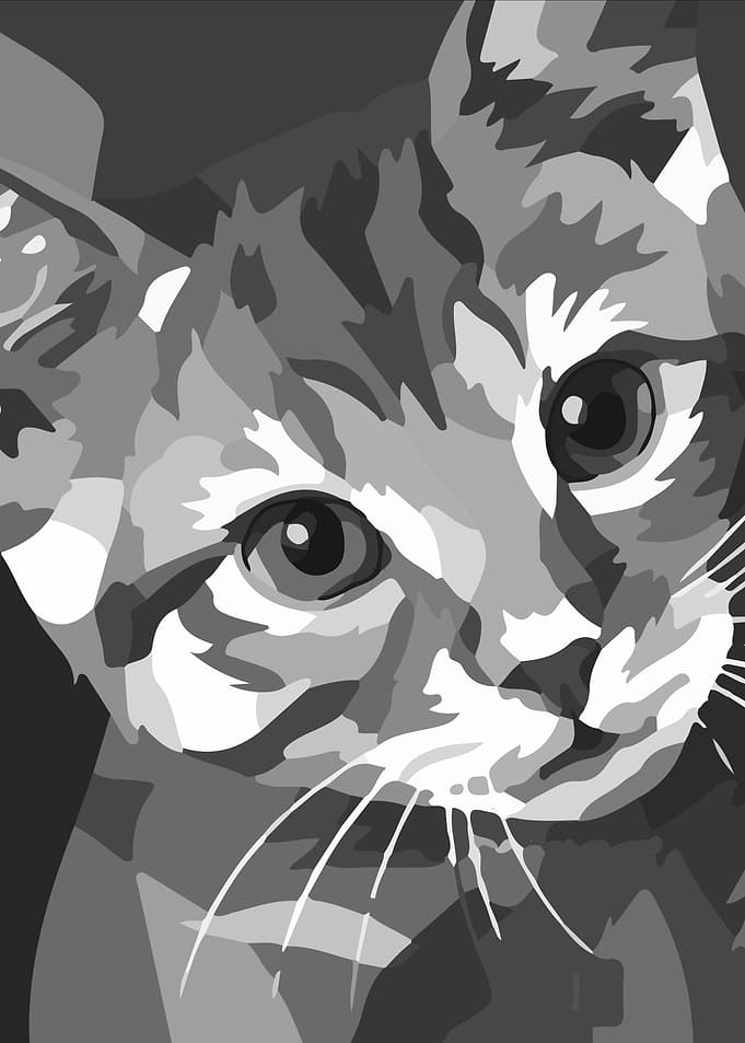 CAT GREY POP ART