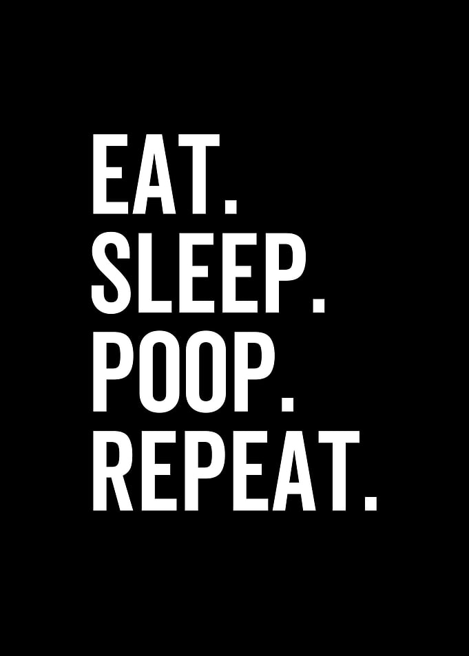 Eat Sleep Poop Repeat