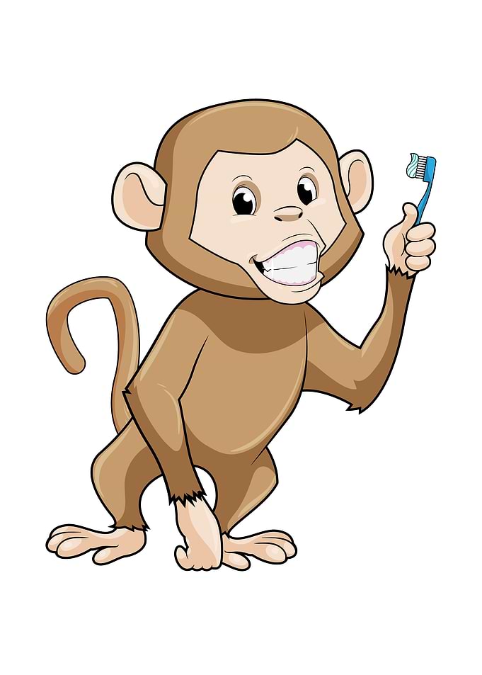 Monkey Toothbrush