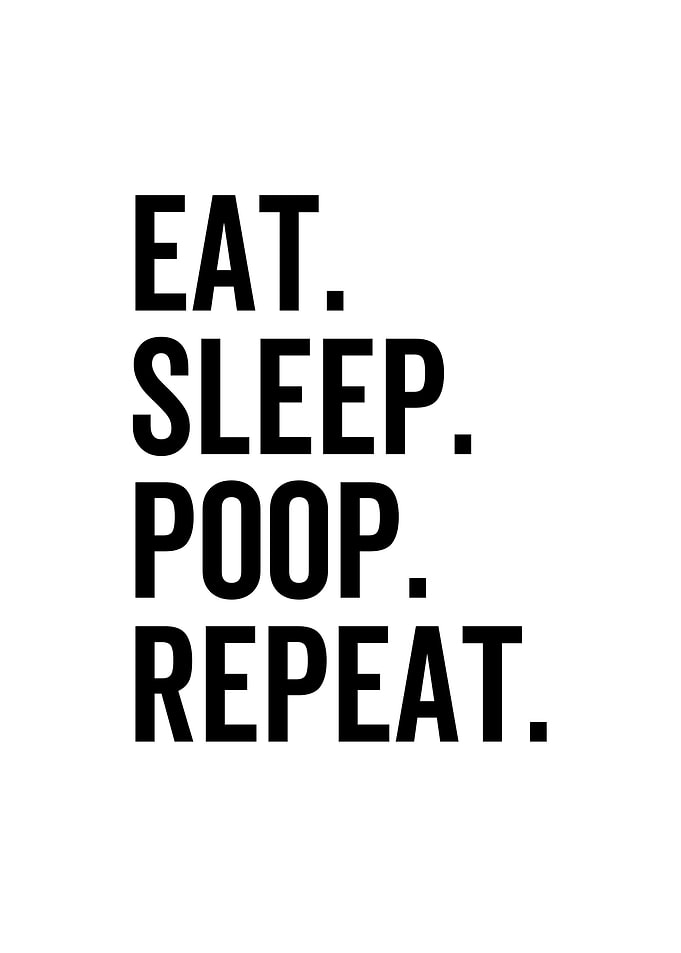Eat Sleep Poop Repeat