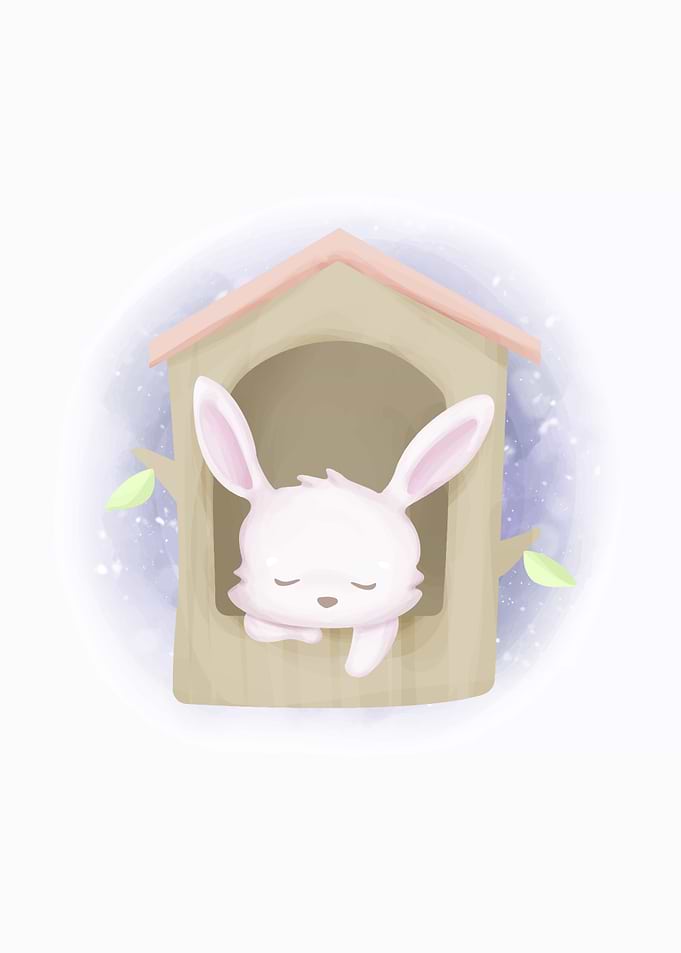Baby Rabbit In House