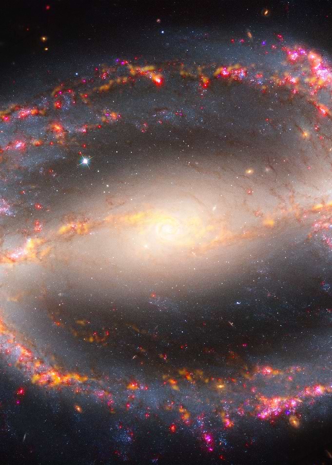 NGC 1300 JWST