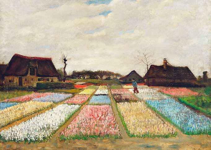 Flower Beds in Holland