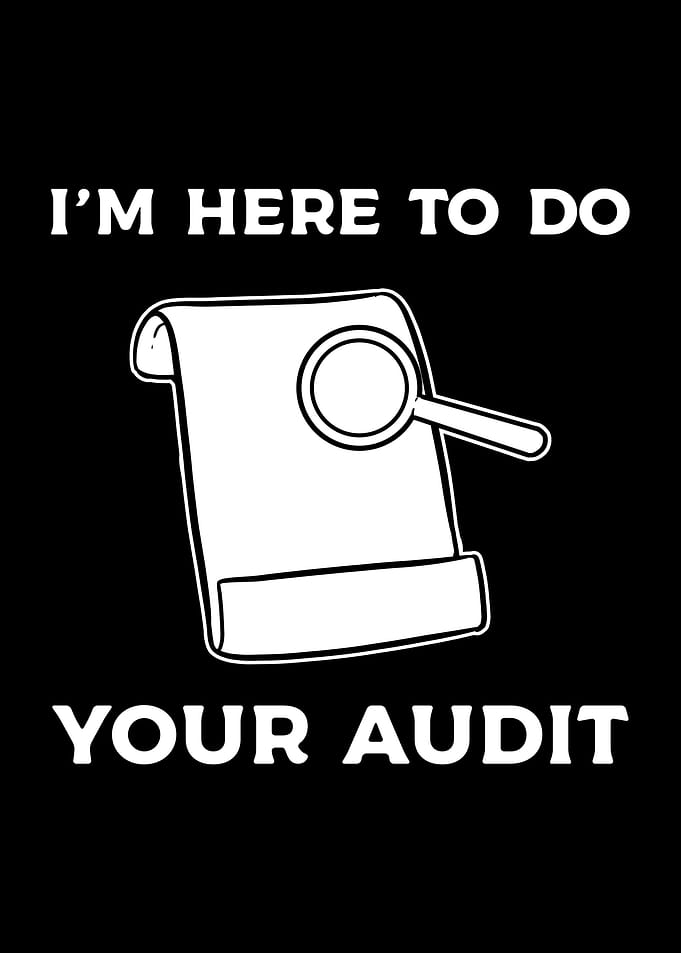 Im Here To Do Your Audit