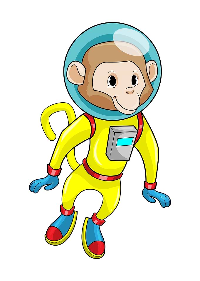 Monkey Astronaut Space