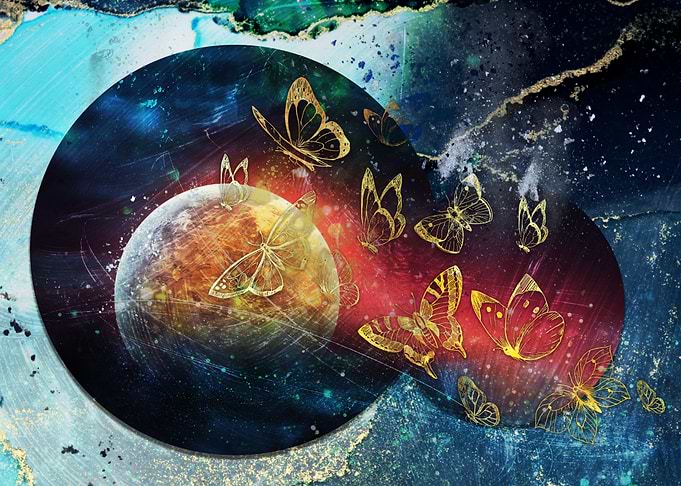 Butterflies of Venus