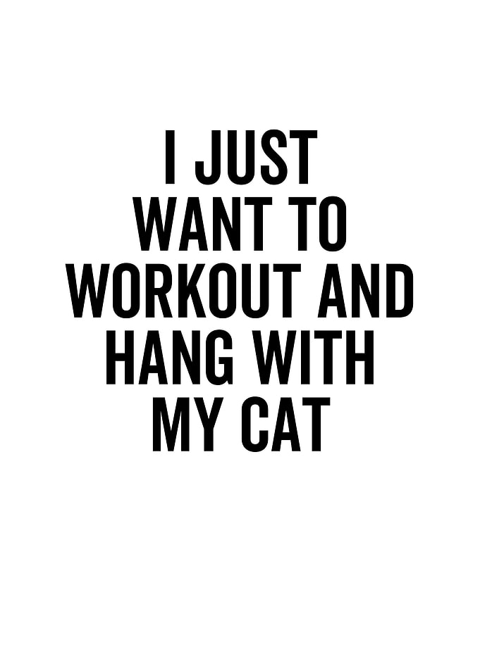 I Just Want To Workout And