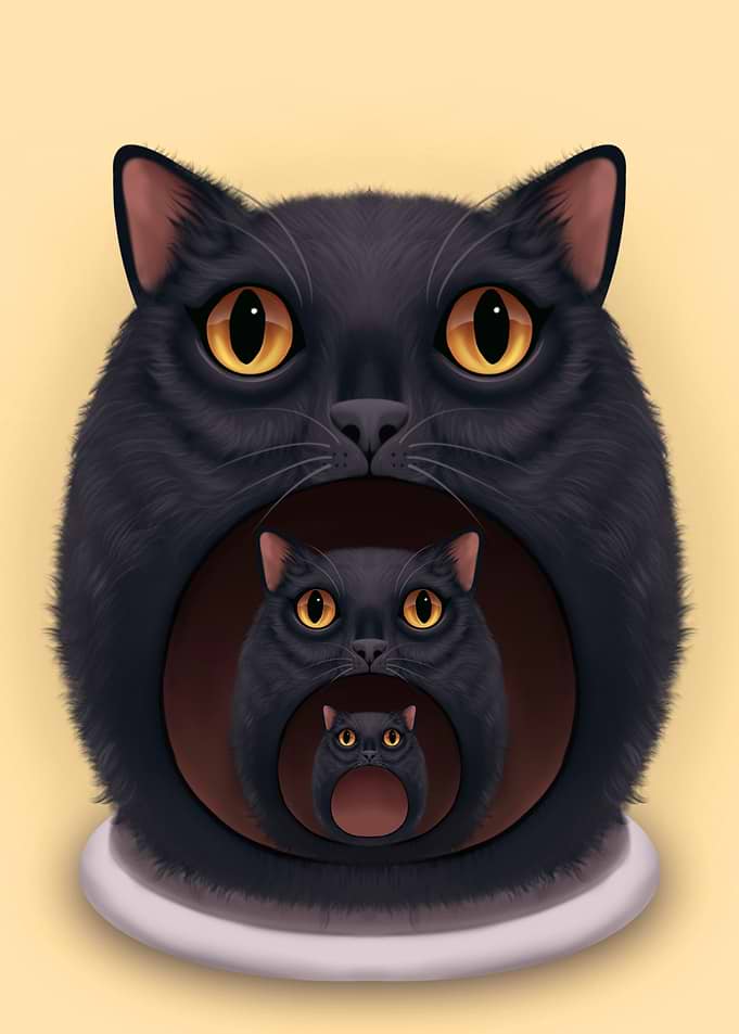 aow cat