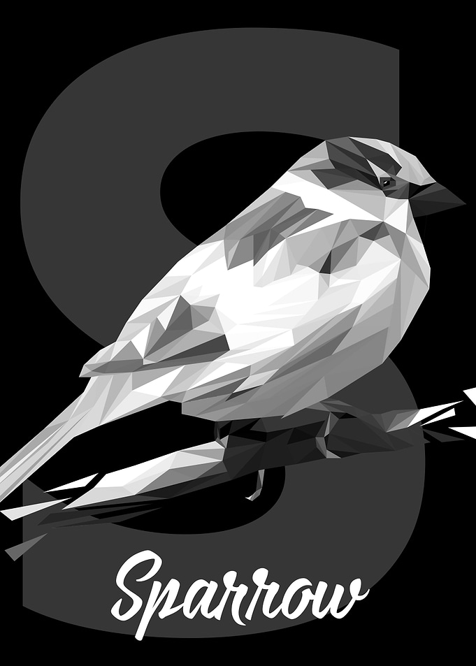 Sparrow