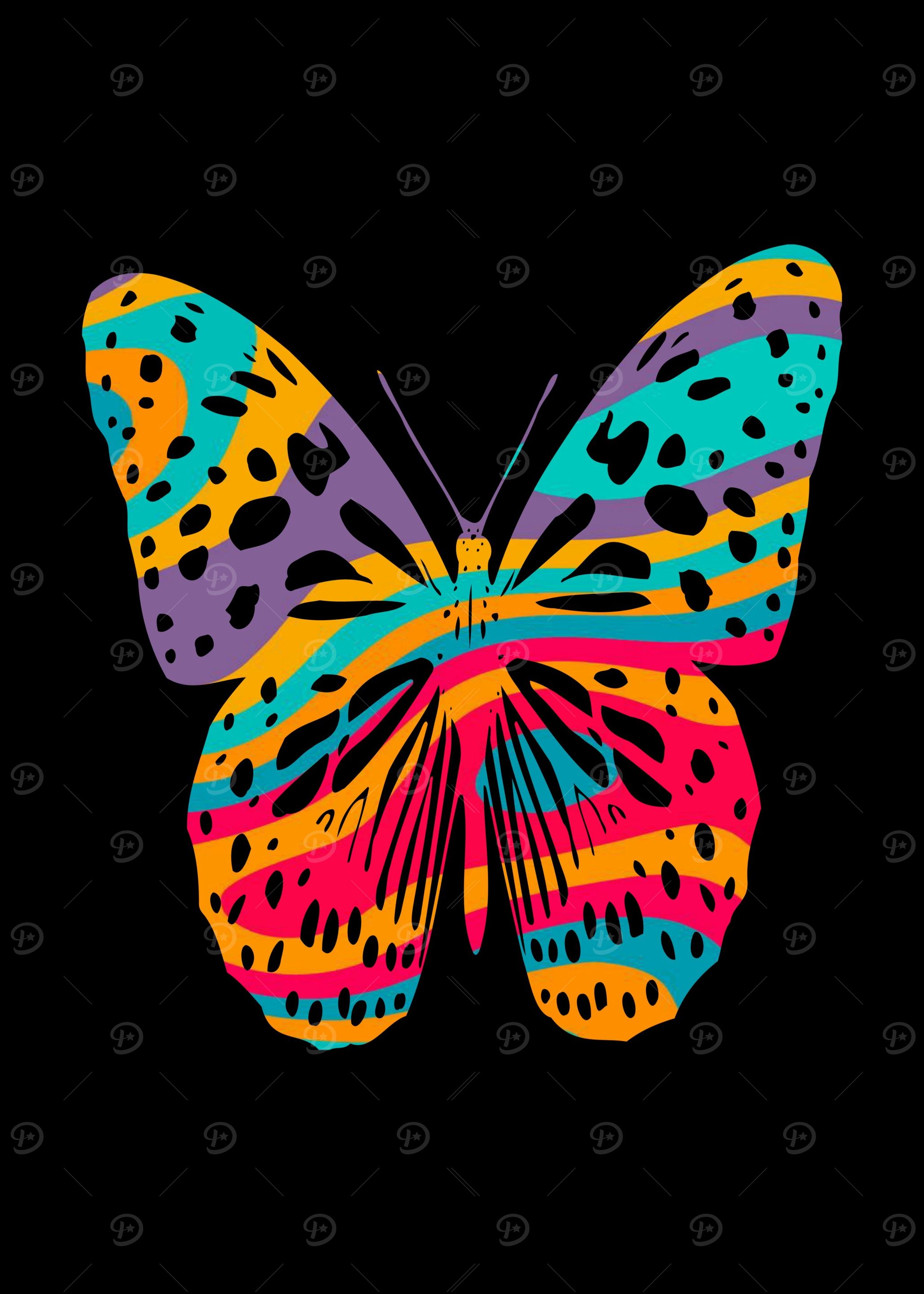 colorful butterfly