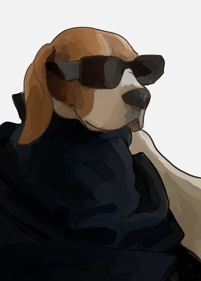 cool dog