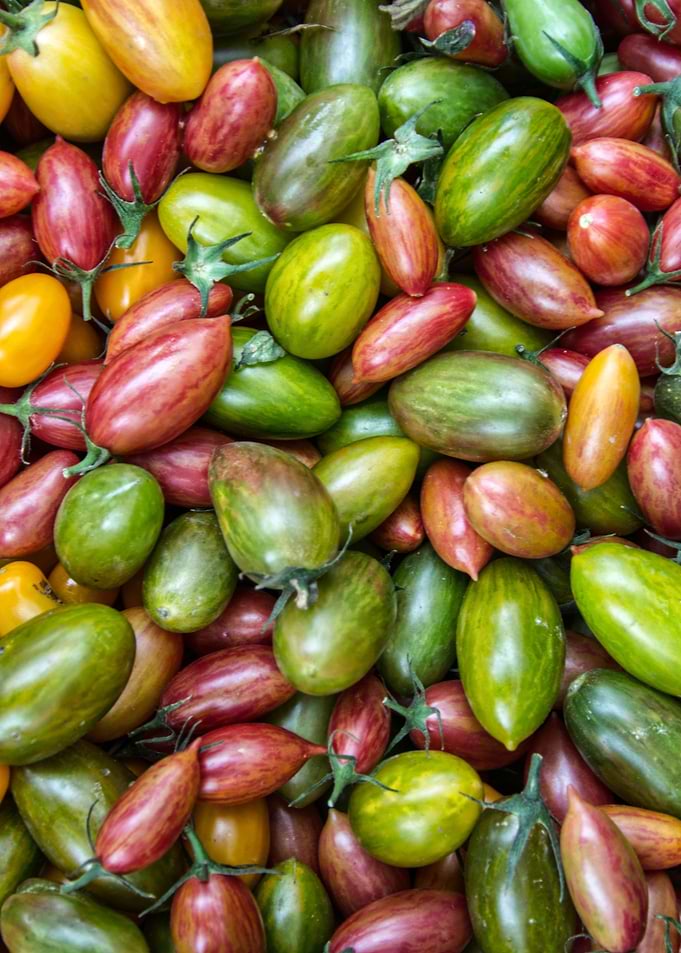colorful tomatoes