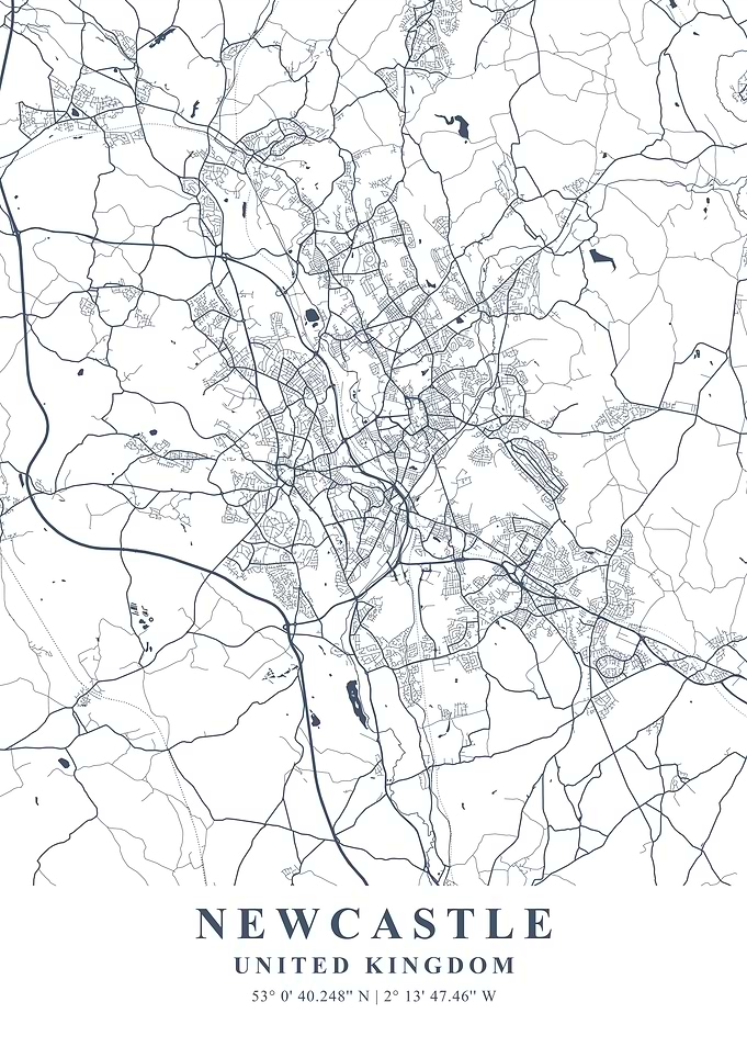 Newcastle Ash Plane Map