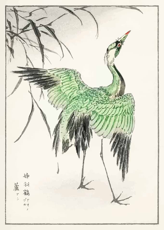 Demoiselle crane and Reed