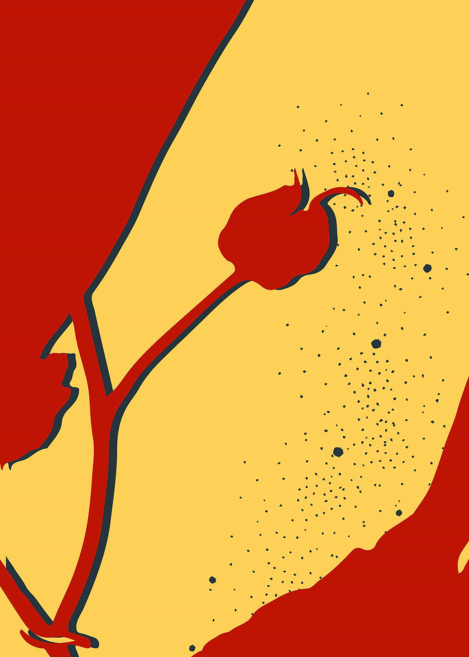 Autumn seed