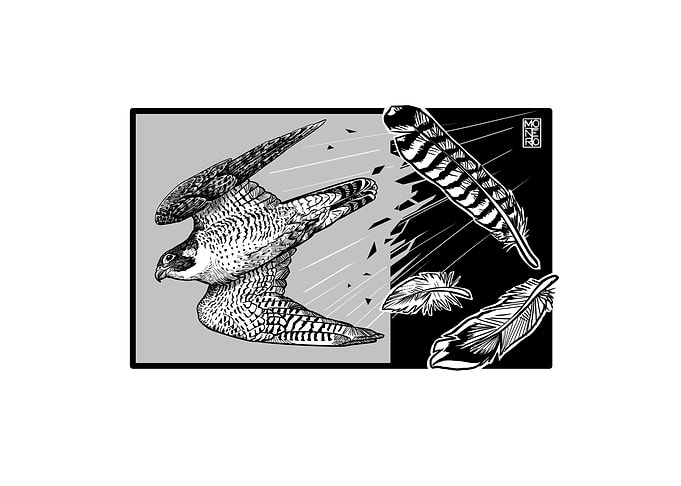 Guardian Series Peregrine