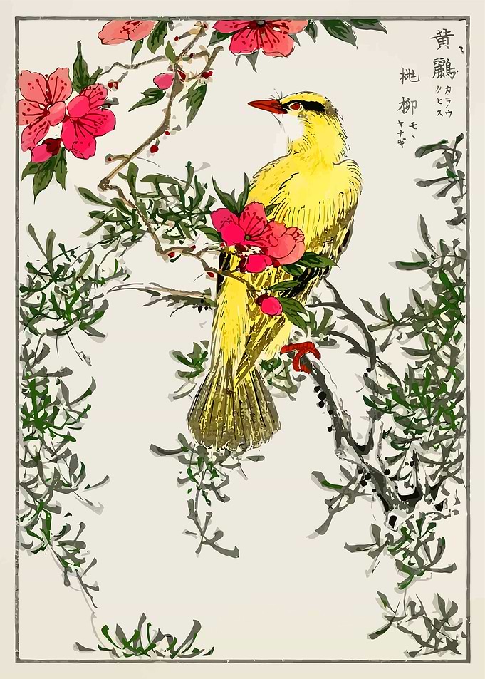 Bush warbler and Peach
