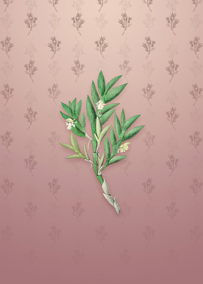 Two Edged Dendrobium