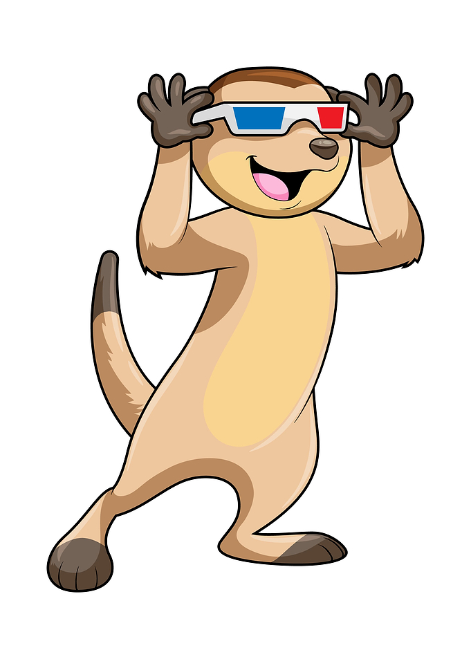 Rabbit Sunglasses
