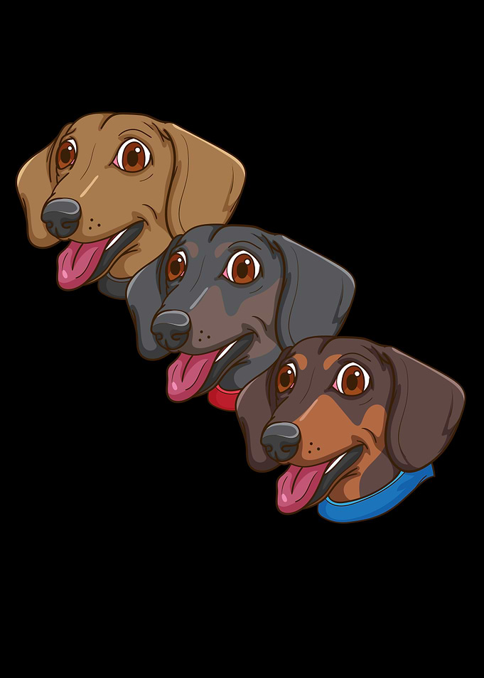 Chiweenie Dog Lover