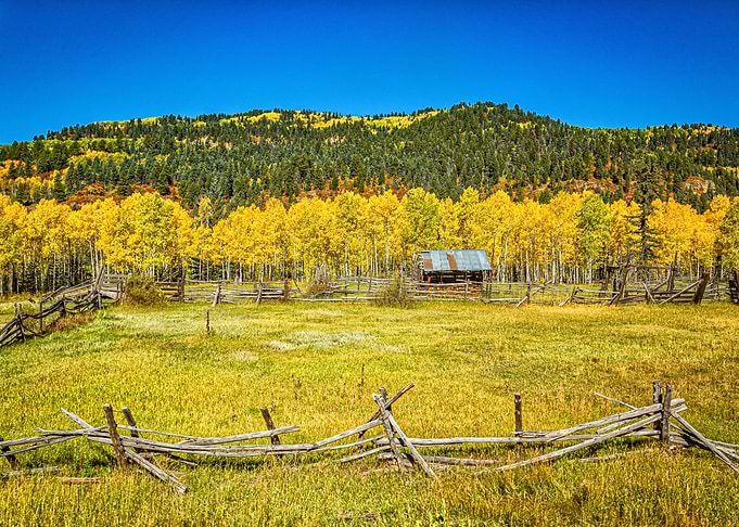 Cumbres and Toltec Rail