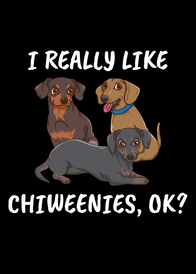 Dog Gift Women Chiweenie