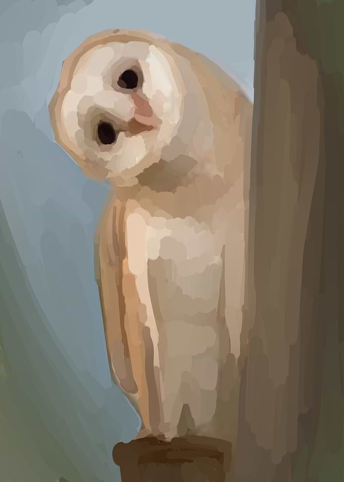 cute owl