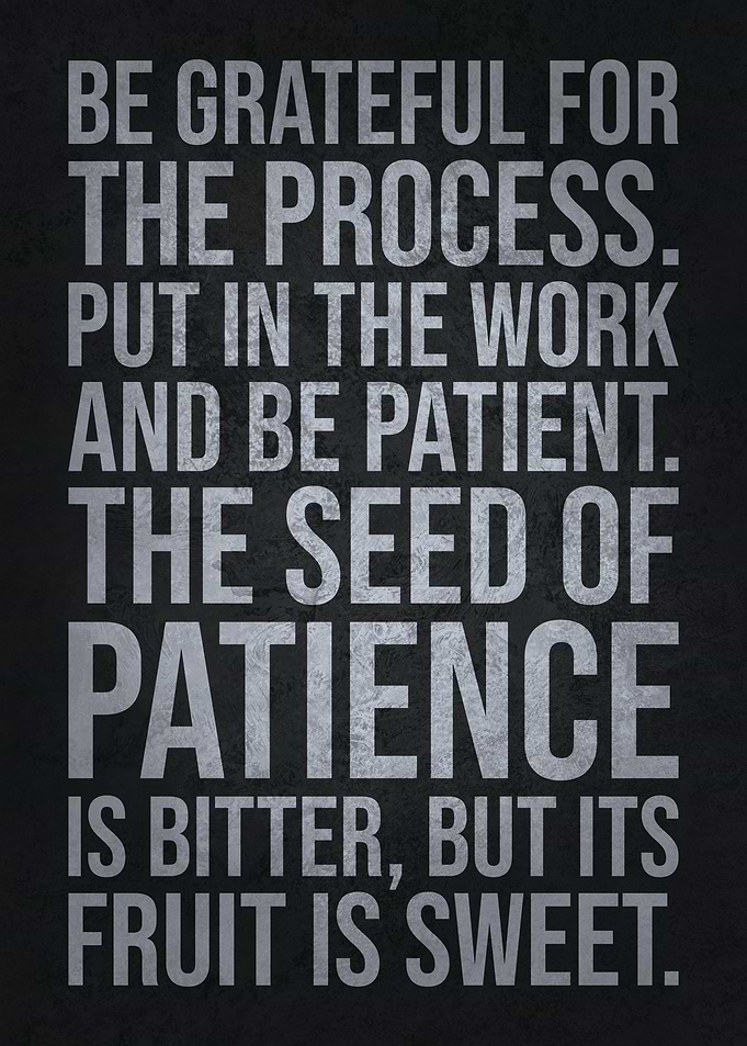 The Seed Of Patience