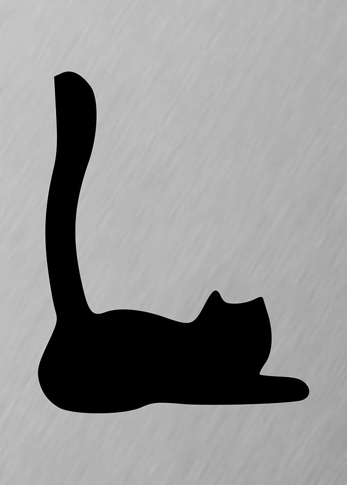 1 of 4 cat LOVE Letters
