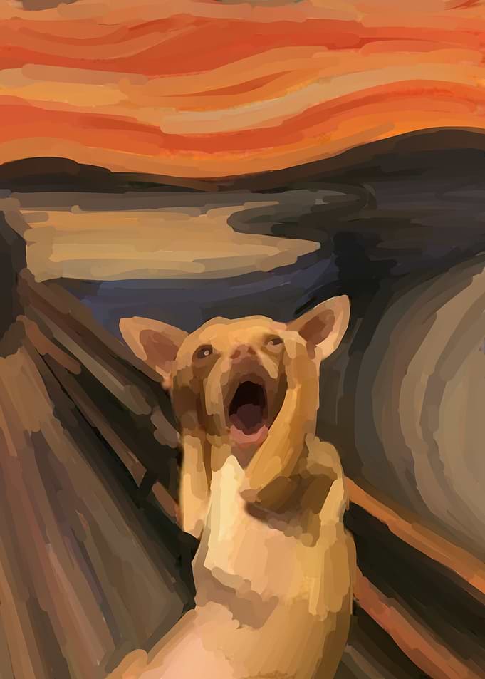 cat scream