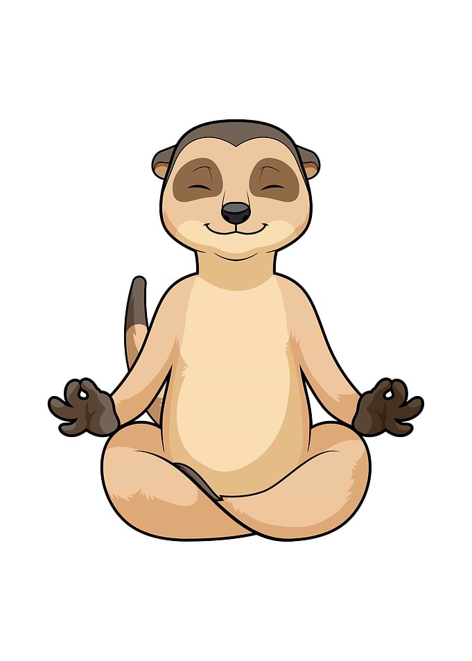 Meerkat Yoga Meditation