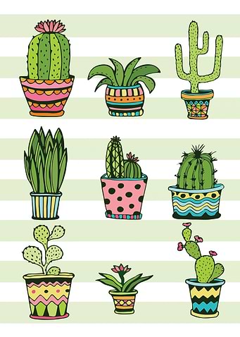 Botanical Cactus Decor