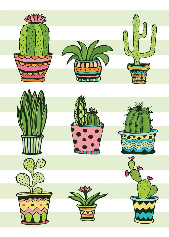 Botanical Cactus Decor