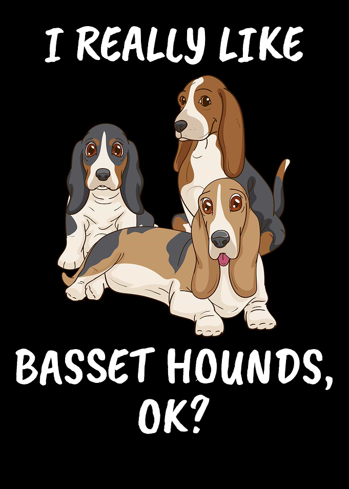 Basset Hound Gift Women