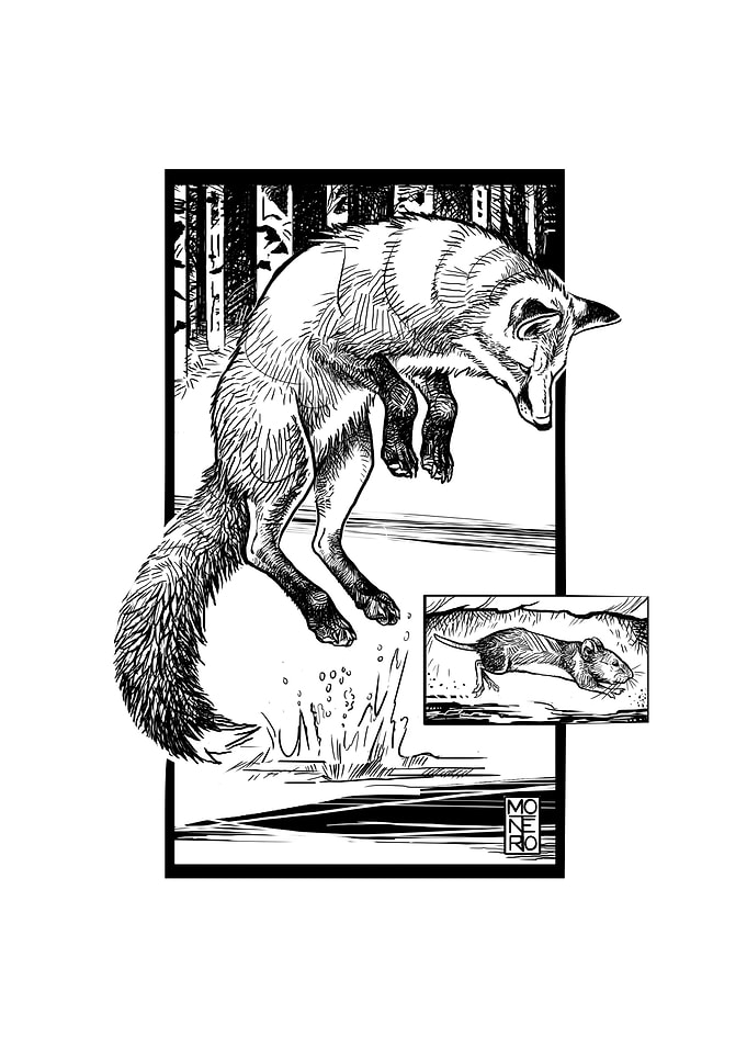Guardian Series Fox