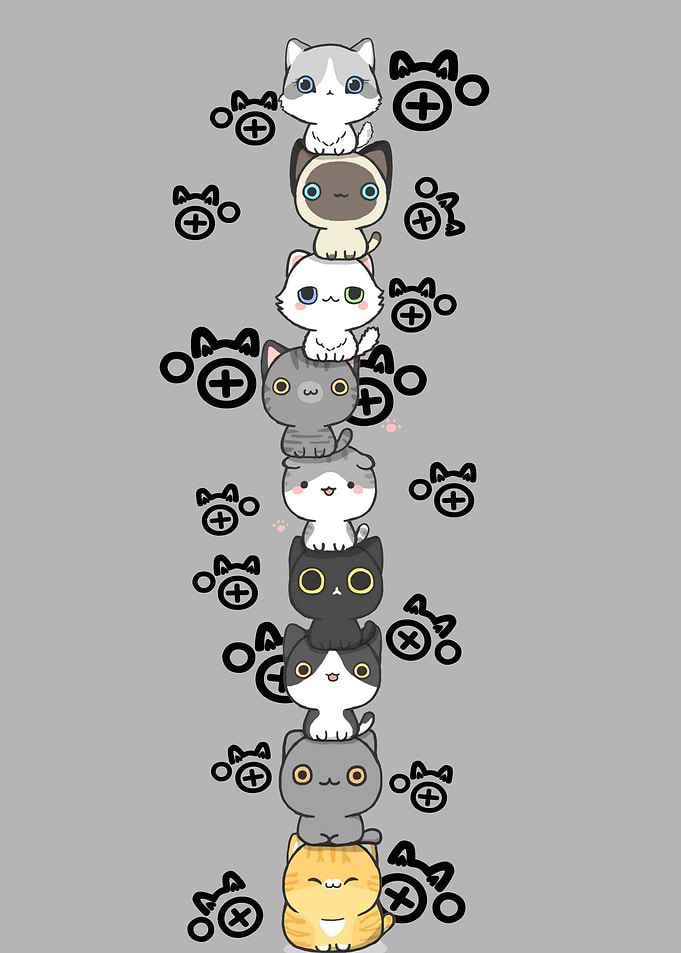 Funny Kitten Cats Animals
