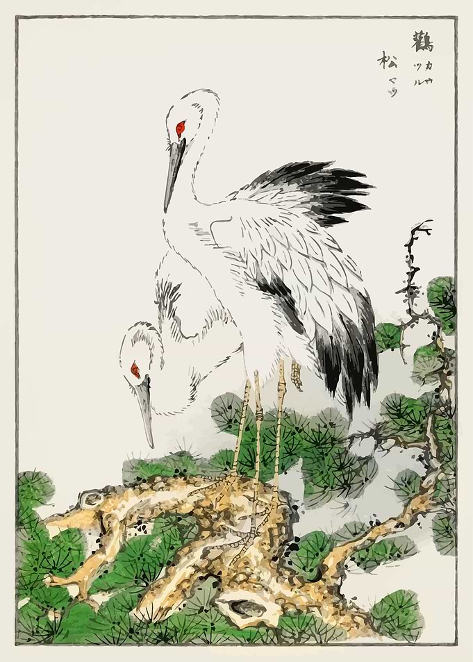 Stork and Pine Tree