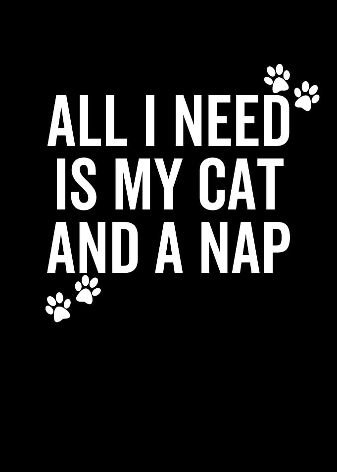 All I Need is My Cat And a