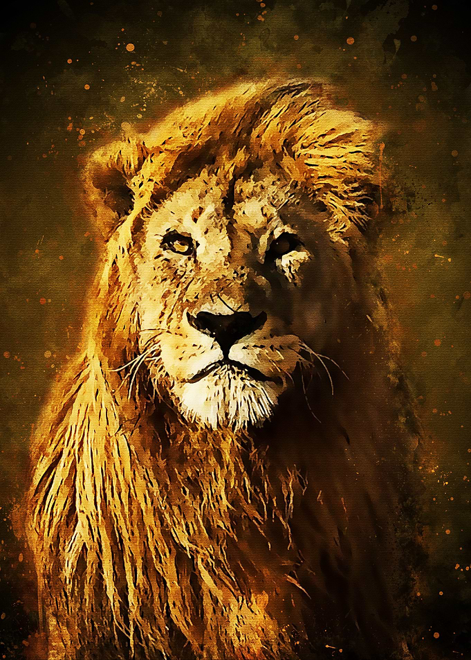 King of the Jungle Art