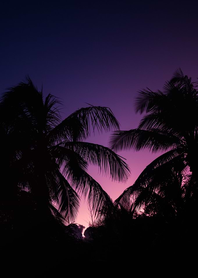 Deep Sunset