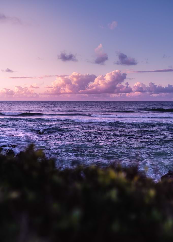 Dreamy Evening