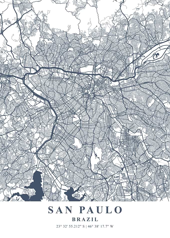 Sao Paulo Ash Plane Map