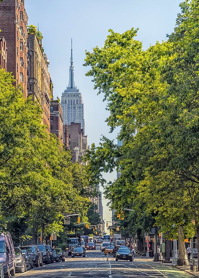 5th Avenue