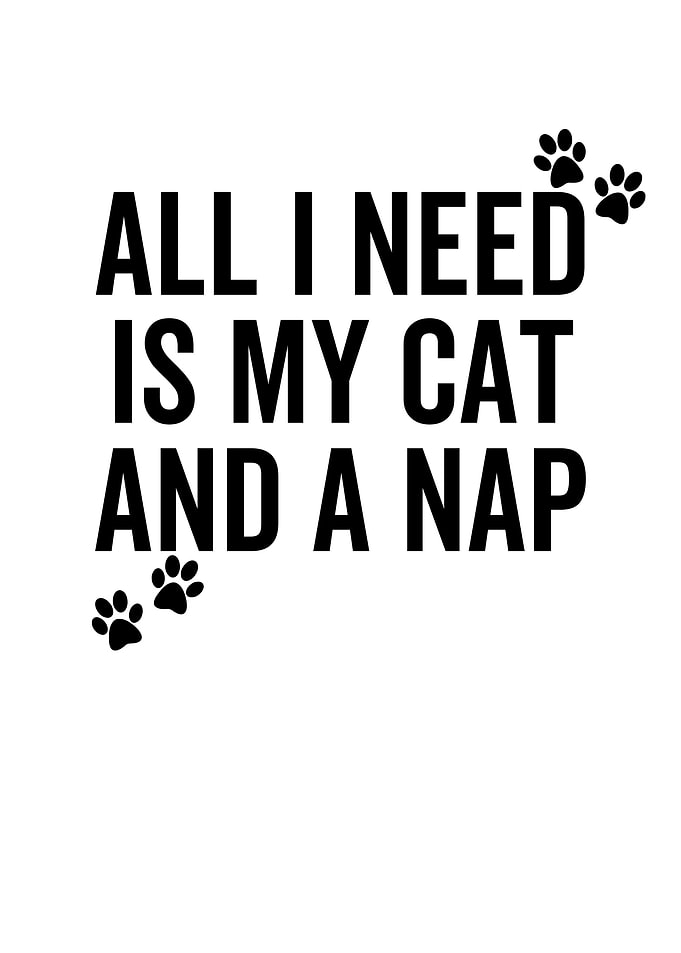 All I Need is My Cat And a